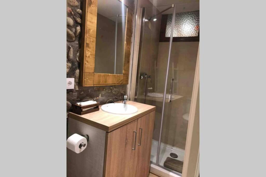 Puigcerda Centro. Acogedor Apartament En El Pueblo Екстериор снимка